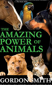 amazing power of animals- gordon smith