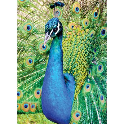 アニマルエッセンス〜Peacock ピーコック(くじゃく)〜